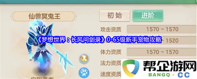 《梦想世界：长风问剑录》新手宠物全攻略（0-65级成长与培养技巧详解）