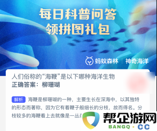 大家所称的“海鞭”实际上是指哪一种海洋生物呢？