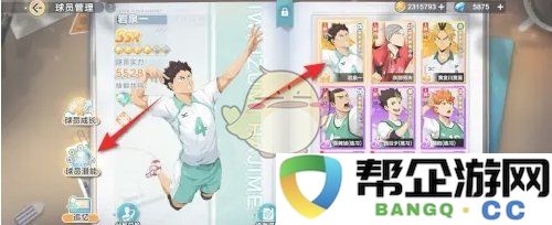 《排球少年：进阶之路潜能提升与强化技巧解析》