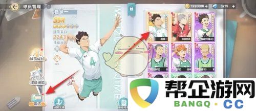 《排球少年：新征途装备回顾与追寻技巧分享》