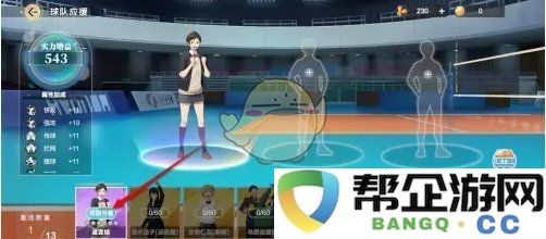 《排球少年：全新冒险之路应援升星技巧大揭秘》