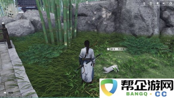 《燕云十六声》清河猫戏全攻略收集指南，助你轻松获取所有内容