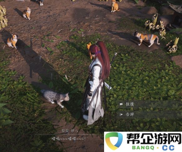 《燕云十六声》清河猫戏全攻略收集指南，助你轻松获取所有内容