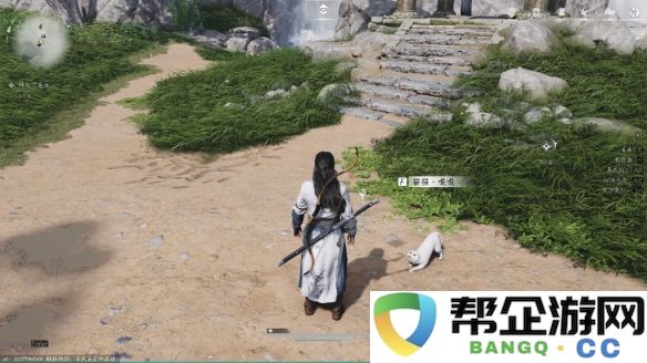 《燕云十六声》清河猫戏全攻略收集指南，助你轻松获取所有内容