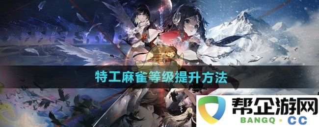 《新月同行》特工麻雀如何有效提升等级的实用指南