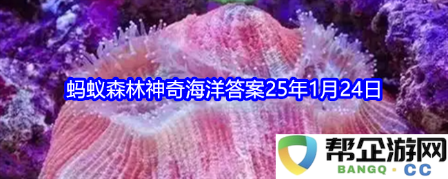 探索八字脑珊瑚的命名来源及其背后独特的故事