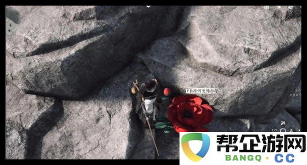 《燕云十六声》再生岸上的花中愿任务详细攻略和完成技巧