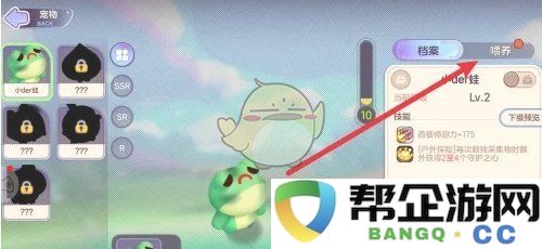 《梦想乐园》中各类宠物的科学喂养技巧与建议