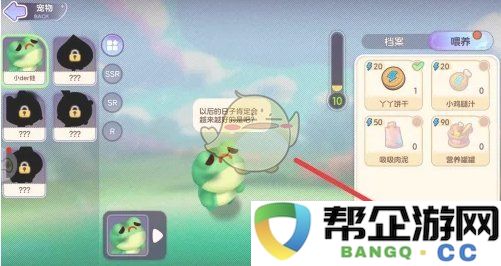 《梦想乐园》中各类宠物的科学喂养技巧与建议