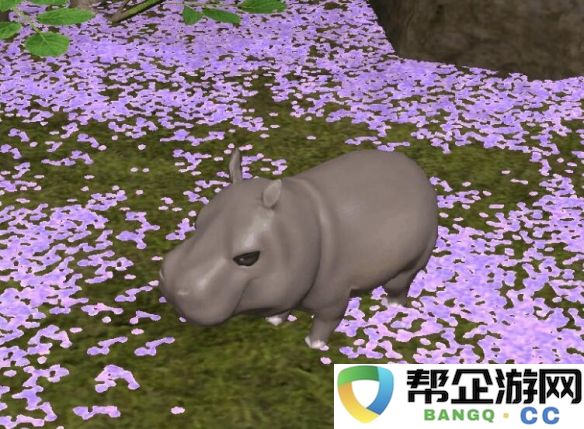 《最终幻想14：水晶世界》如何获得河马幼崽的完整攻略和方法