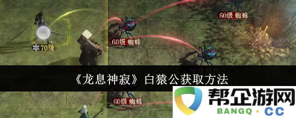 《龙息神寂》白猿公获取攻略及玩法详细解析