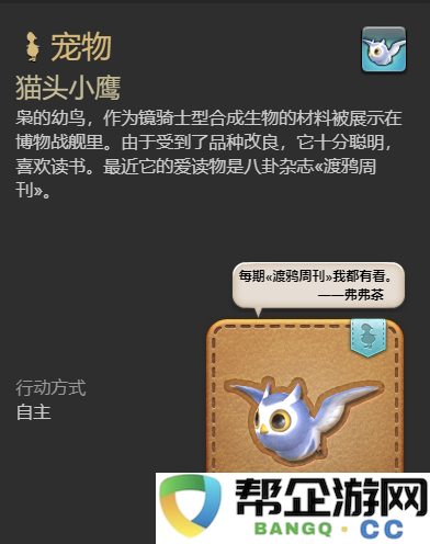 《最终幻想14：水晶世界》获取猫头小鹰宠物的详细攻略与方法