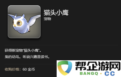 《最终幻想14：水晶世界》获取猫头小鹰宠物的详细攻略与方法