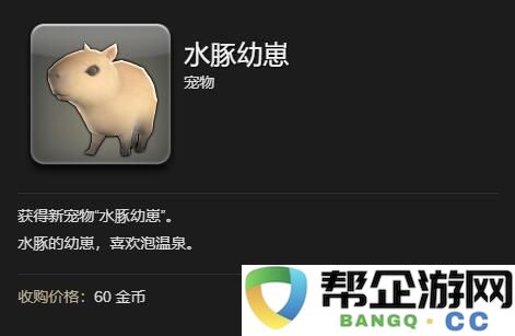 《最终幻想14：水晶世界》中获得水豚幼崽的详细方法与技巧