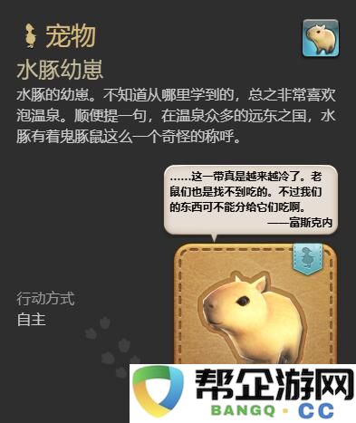 《最终幻想14：水晶世界》中获得水豚幼崽的详细方法与技巧