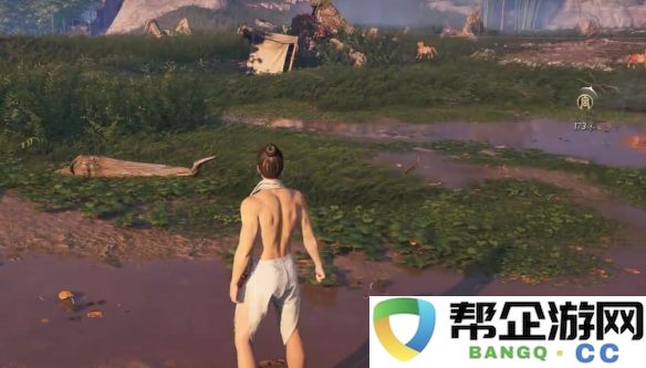 《燕云十六声》中武器外观隐藏技巧详解与实用指南