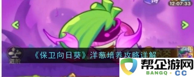 《保卫向日葵》中洋葱角色的培养与使用技巧全面解析