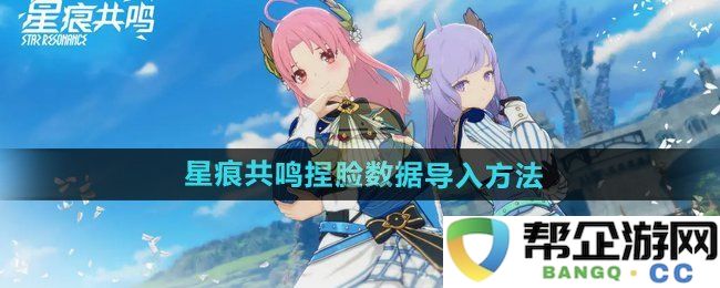 《星痕共鸣》角色脸型导入步骤详解与注意事项