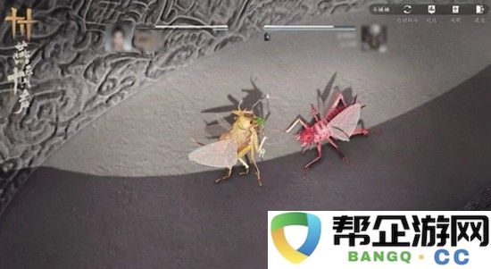 《燕云十六声》开封皇宫斗虫玩法介绍