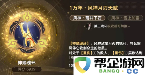 《斗罗大陆：猎魂世界》中神赐魂环的详细解析与应用指南